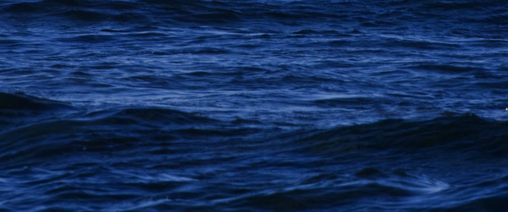 Schlie Fiskeexport A/S logo